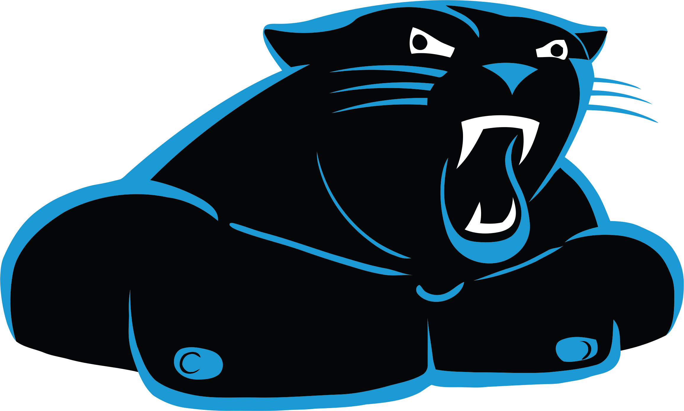 Carolina Panthers Steroids Logo DIY iron on transfer (heat transfer)